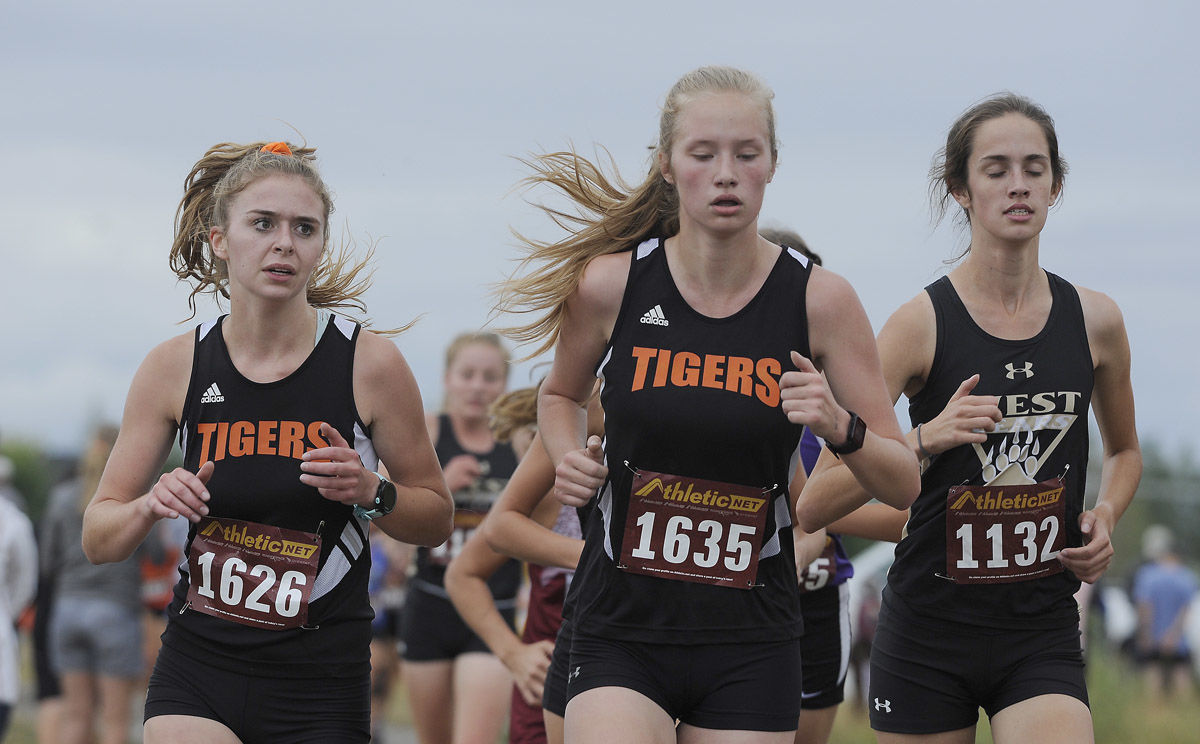 Tigers Run